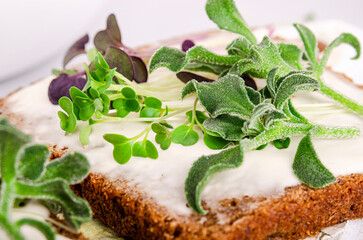 microgreen leaves on a sandwich with melted cheese