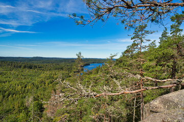 A Great view from the top of a hill. Looking out over the Swedish lake. Nature during the summer.