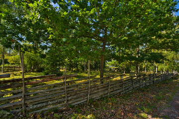 Old traditional swedish wooden fence. Vintage style hedge. Countryside authentic cozy hand made wooden fence palisade in a rural area.