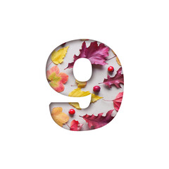 Number eight shape cut out of white paper. Red, yellow, orange Autumn leaves, berries on beige paper. Natural Autumn background visible through number 9 cut in white paper.