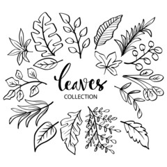 Set of  various leaves doodle illustration