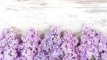 Fragrant lilac inflorescences on a white background of bleached wood with copy space. Floral background in rustic style. Lilac flowers on a white background.