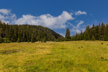 Fototapeta premium Typical alpine pastures