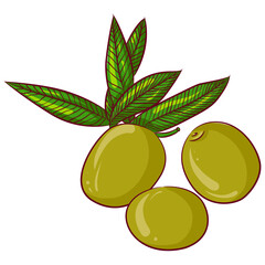 Vector cartoon illustration of three green olives with leaves isolated on white. Product for healthy lifestyle. Healthy vegetarian food, diet meal. Food Icon. Design for cookbook, restaurant business