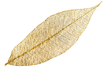 Feuille d’or, fond blanc 
