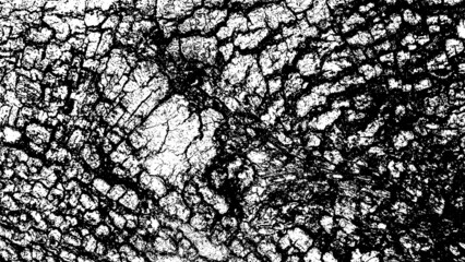 Black white texture of rugged relief fractured bark wood of aged cork oak. Old rough grunge of uneven ridged hard dry crust surface. Deep cut grooved coated layer, convex ornate textured rustic design