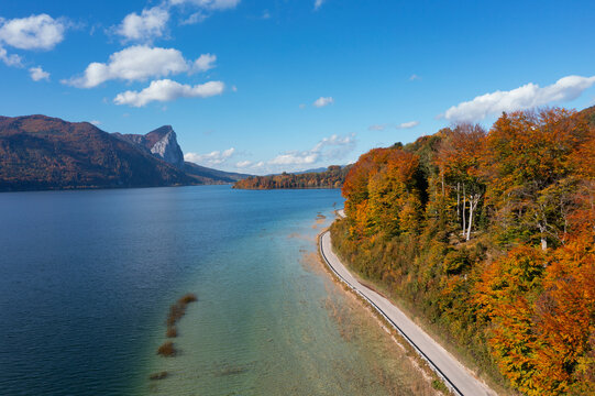 Empty road between Mondsee lake and forest, Salzkammergut, Upper Austria, Austria