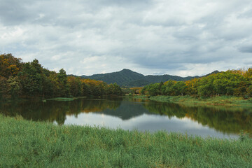 Beautiful blue sky high peak mountains mist fog wildlife green forest at changrai