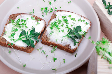 Microgreen sprouts on a sandwich on a light background. Sandwiches made of cheese, bread and microgreens