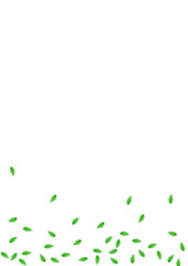 Greenish Greenery Background White Vector. Foliage Copy Texture. Fresh Card. Green Garden Design. Leaf Park.
