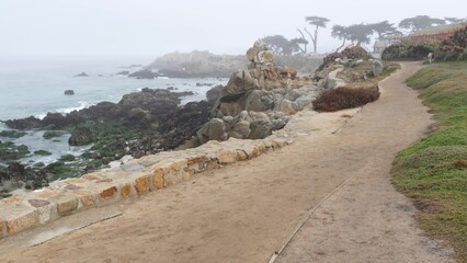 Rocky craggy ocean beach, sea waves by shore, foggy misty weather, Monterey 17-mile drive along...