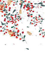 Burgundy Rowan Background White Vector. Leaves Wallpaper Illustration. Green Herb Abstract. Image Texture. Leaf Dry.