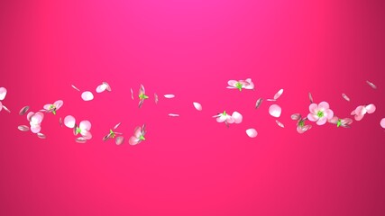 Fototapeta na wymiar Cherry blossoms on pink background. 3D illustration for background. 