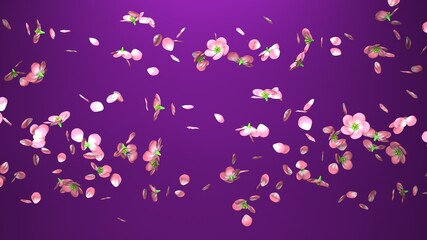 Obraz na płótnie Canvas Cherry blossoms on purple background. 3D illustration for background. 