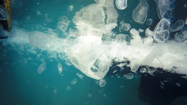 Marine Pollution problem in sea Garbage plastic bag Floating Underwater