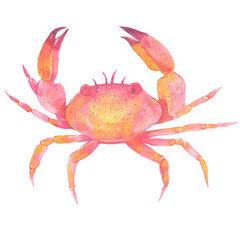 Colorful crab. Hand painting watercolor illustration.