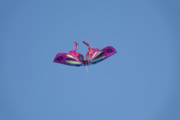 Fototapeta na wymiar Colorful kite flying in the blue clear sky. High quality photo