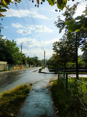 Naklejka premium view from under the crown of a lime tree on the summer street of the village wet after the rain