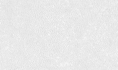 Fototapeta na wymiar White leather texture background. Seamless light leather texture, detalised Vector background. Natural white skin textures. Luxury white leather texture background concept. Vector illustration EPS10.