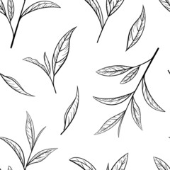 Green tea leaf hand drawn seamless pattern. Sketch tea organic food and drink. Vector illustration, seamless pattern on a white background. Plant leaves for printing and design - obrazy, fototapety, plakaty