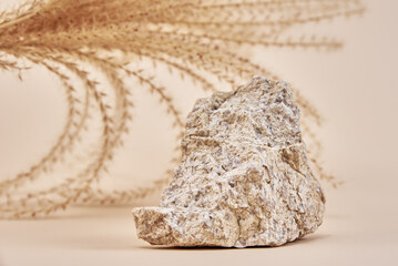 Natural stone podium and dry plant branch on beige background, minimal copy space background for presentation cosmetic product