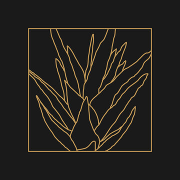 gold line art aloe vera on black clip art preview