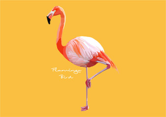 Vector Illustration of Flamingo, Bird