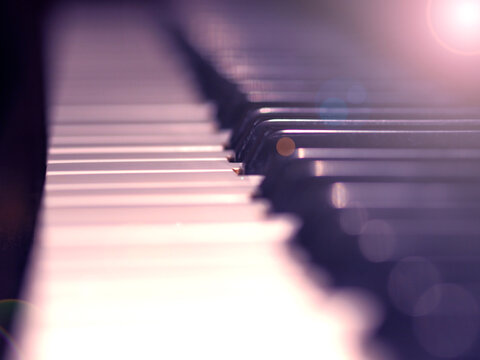 Piano keys close-up. Jazz piano concert.