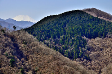 道志山塊の大丸　御座敷の松より富士山と舟山を望む
道志山塊　大丸の御座敷の松より富士山、その左から今倉山、赤岩（松山）、右が舟山
