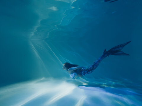 Woman with mermaid tail swims and dives underwater.