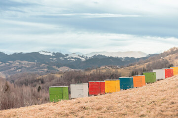 organic beekeeping in the rural mountain area