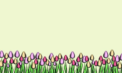 A group of tulips on a pastel background. Spring flowers. Women's flowers. Gift flowers