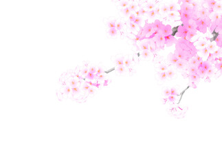 Obraz na płótnie Canvas 桜の木