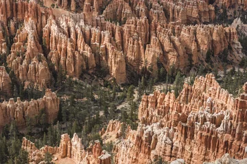 Foto op Plexiglas Bryce Canyon © Fyle