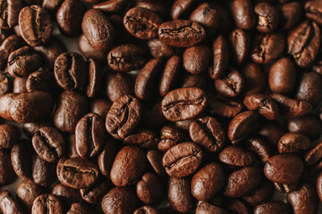 coffee beans close-up. light roast
