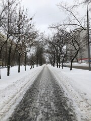 snow covered road