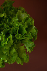 Lettuce leaves on colored background