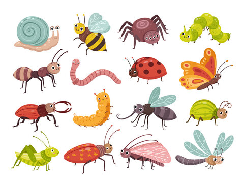 Cartoon insects. Isolated insect, children little wild bee, bug and butterfly. Fly cute wasp, gardening caterpillar and snail. Nature neoteric vector characters