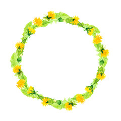 Watercolor wreath of dandelion buds and leaves on isolated white background, botanical illustration of summer yellow flowers, frame for text.