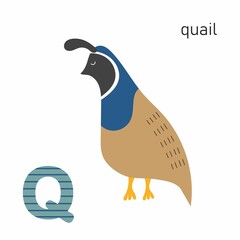 Animal Alphabet for children with letter Cartoon happy Quail