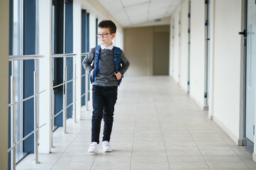 Portrait of cute school boy with backpack. Schoolboy with a backpack at school. Back to school.
