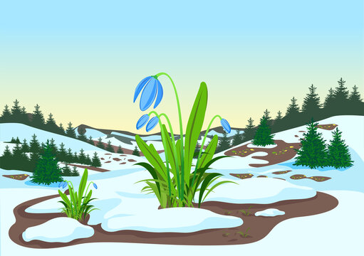 Spring landscape with forest, glades, melting snow and snowdrops. Beautiful spring background illustration. Vector