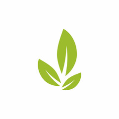 Leaf icon Vector Illustration design Logo template