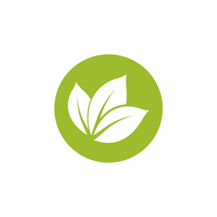 Leaf icon Vector Illustration design Logo template