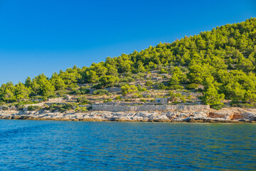Obraz premium Lond coast and pine woods of Murter island in Dalmatia, Croatia
