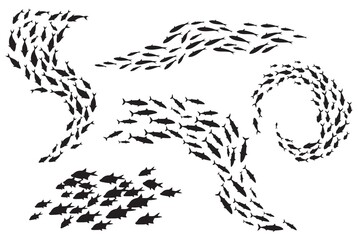 School fish silhouette. Group sea shoal small fishes swim in circle, shoaling and schooling ocean life, underwater ecosystem deep marine animals, plenty tuna, set black neat icons - obrazy, fototapety, plakaty