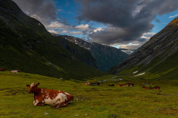 Fototapeta na wymiar Norway landscape and farm 