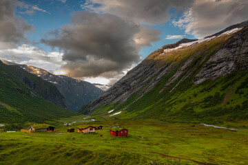 Norway landscape and farm

