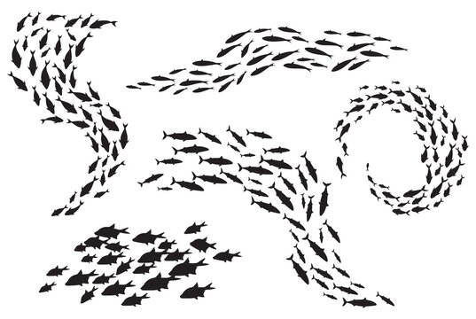School fish silhouette. Group sea shoal small fishes swim in circle, shoaling and schooling ocean life, underwater ecosystem deep marine animals, plenty tuna, set black neat icons
