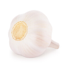 Whole fresh garlic isolated on white background.